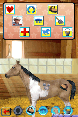 Western Riding Academy screenshot 3 for Nintendo DS